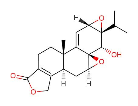 Click to see the large picture