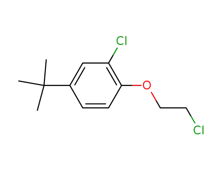Molecular Structure of 2051-63-0 (4-tert-butyl-2-chloro-1-(2-chloroethoxy)benzene)