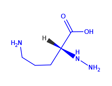 Click to see the large picture