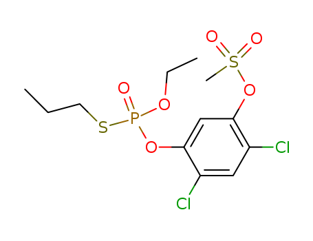 Click to see the large picture