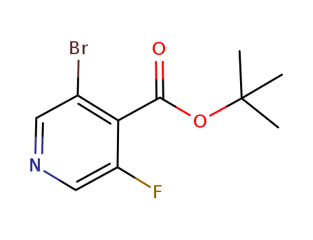 Click to see the large picture