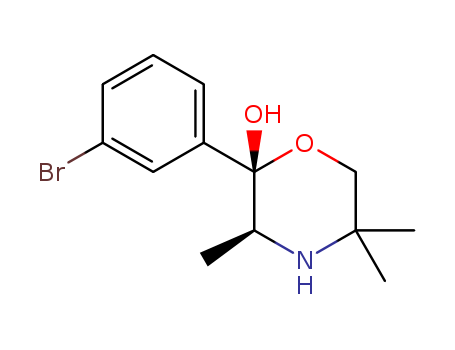 Click to see the large picture