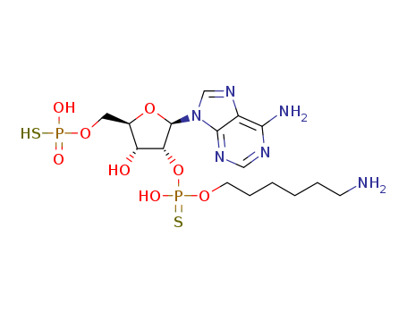 Click to see the large picture