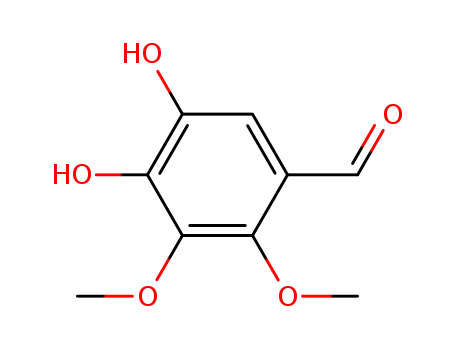 Click to see the large picture