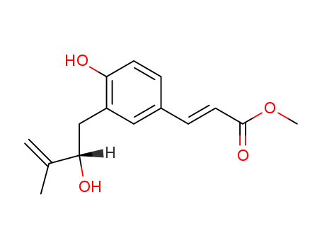 Click to see the large picture