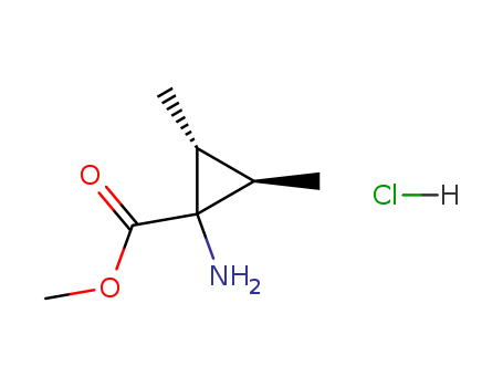 Click to see the large picture