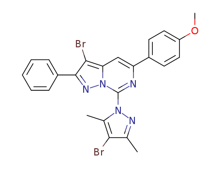 Click to see the large picture