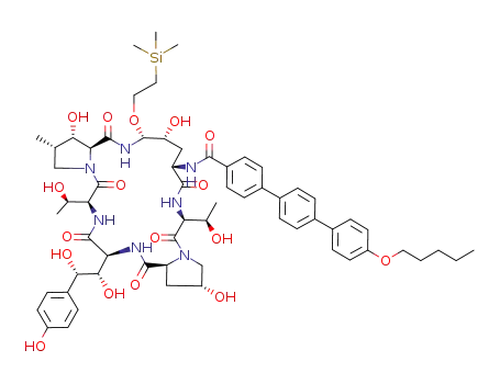 Molecular Structure of 185425-57-4 (C<sub>63</sub>H<sub>85</sub>N<sub>7</sub>O<sub>17</sub>Si)