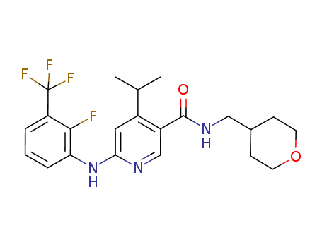 Click to see the large picture