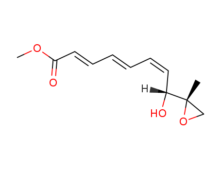 Click to see the large picture