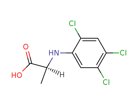 Click to see the large picture