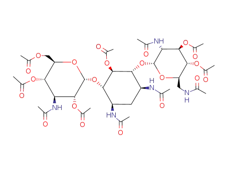 Molecular Structure of 144727-28-6 (penta-N-hexa-O-acetylkanamycin B)
