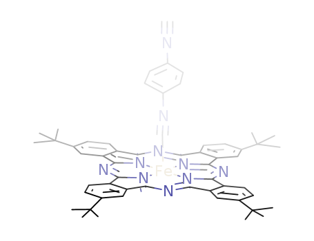 Click to see the large picture