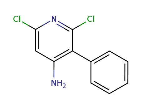 Click to see the large picture