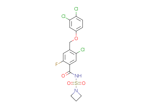 Click to see the large picture