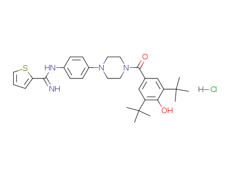 Click to see the large picture