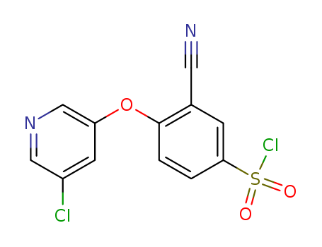 Click to see the large picture