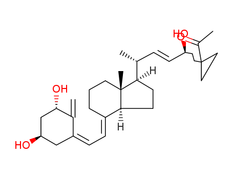 Click to see the large picture