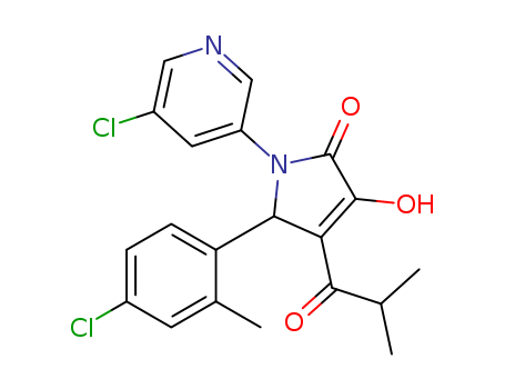 Click to see the large picture