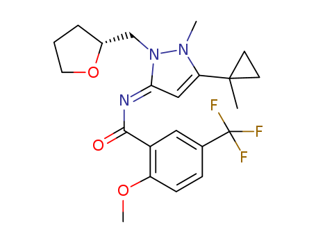 Click to see the large picture