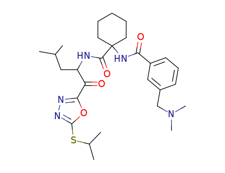 Click to see the large picture