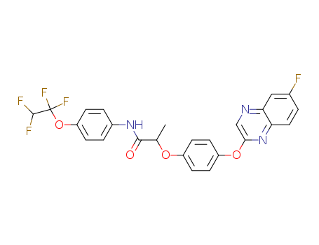 Click to see the large picture