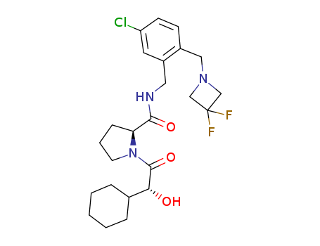 Click to see the large picture