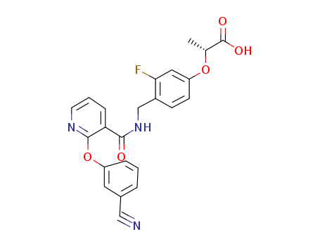 Click to see the large picture