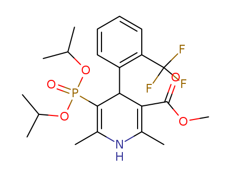 Click to see the large picture