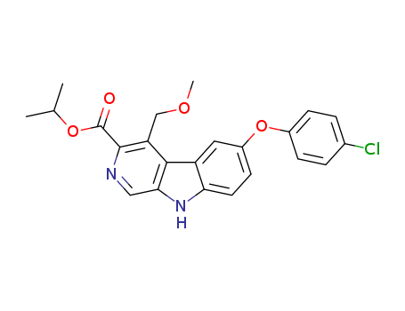 Click to see the large picture