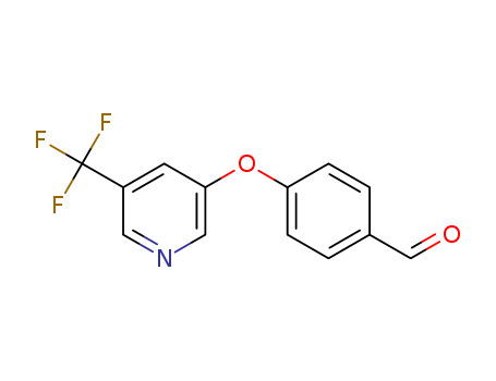 Click to see the large picture