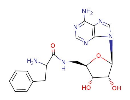 Click to see the large picture