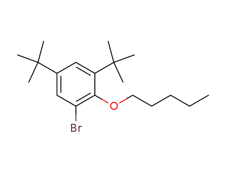 Click to see the large picture