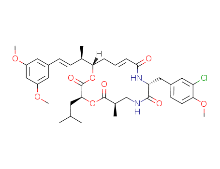 Click to see the large picture