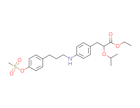 Click to see the large picture