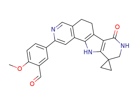 Click to see the large picture