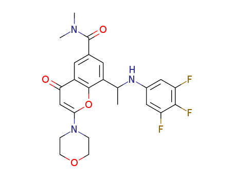 Click to see the large picture