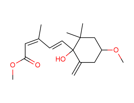 Click to see the large picture