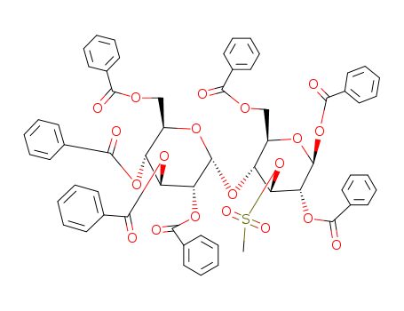 Click to see the large picture