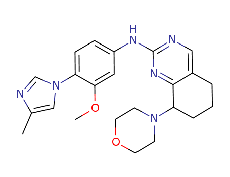 Click to see the large picture