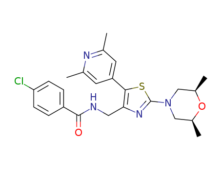 Click to see the large picture