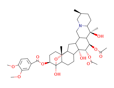 Click to see the large picture