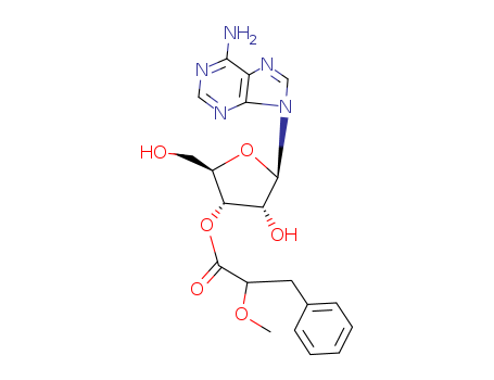 Click to see the large picture