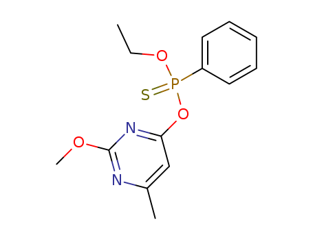 Click to see the large picture