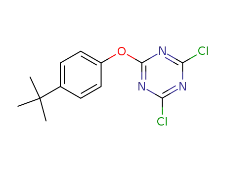 Molecular Structure of 4686-58-2 (1,3,5-Triazine, 2,4-dichloro-6-[4-(1,1-dimethylethyl)phenoxy]-)