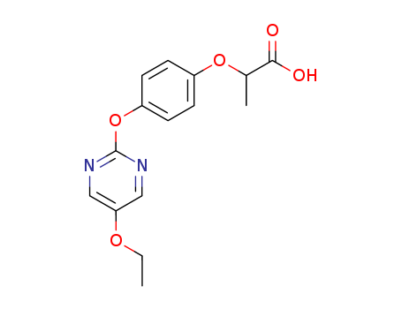 Click to see the large picture