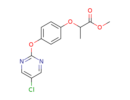 Click to see the large picture