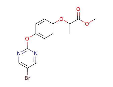 Click to see the large picture