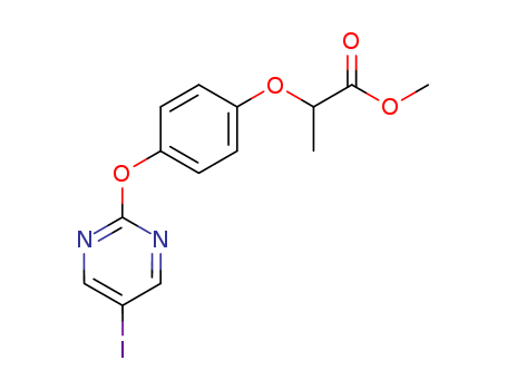 Click to see the large picture