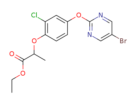 Click to see the large picture